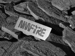 Consultores de Japón e Indonesia visitando el NMFIRE